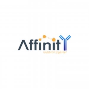 Affinity