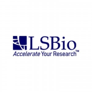 Lsbio